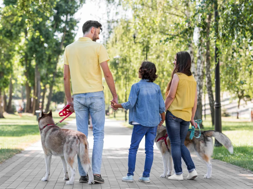 A guide for animal lovers: Top pet-friendly communities in Dubai